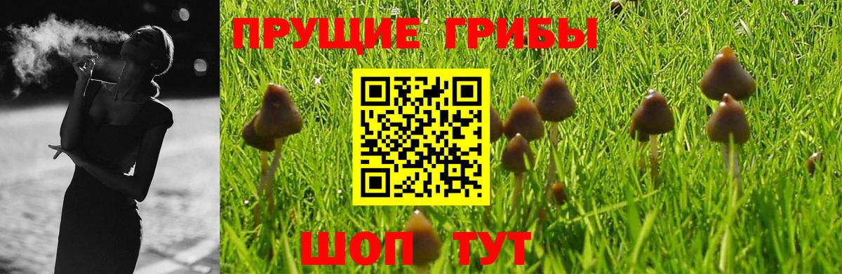 Галлюциногенные грибы Psilocybine cubensis  Вход с VPN  Боровичи 